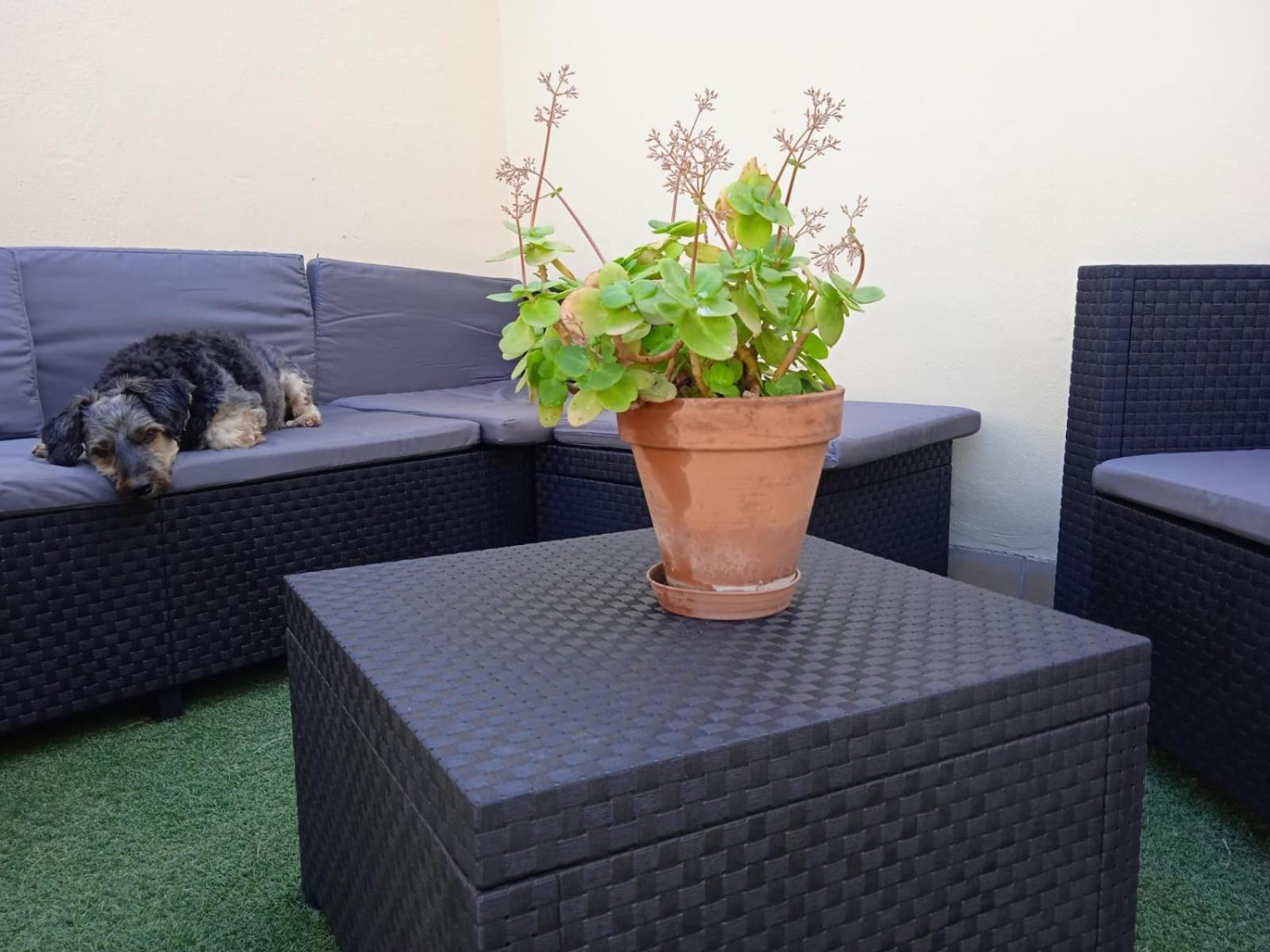 Livingtarifa Apartamento Nano Exterior photo